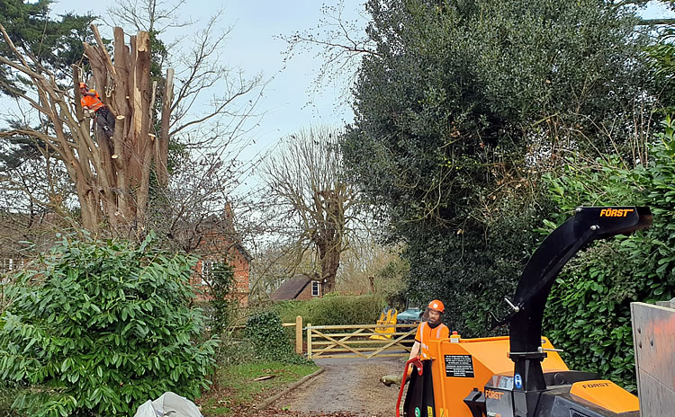 Arbor-Call | Hampshire based Tree Surgeons