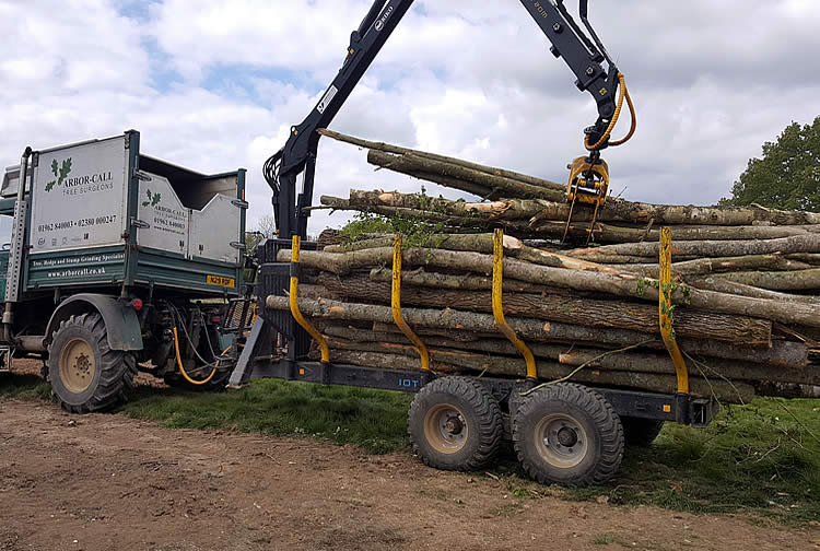 Timber Trailer with Grab