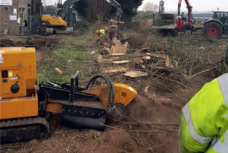 Tracked Stump Grinder